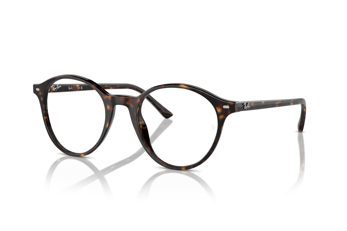 Ray-Ban Vista Bernard